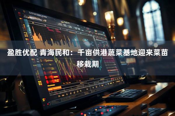 盈胜优配 青海民和：千亩供港蔬菜基地迎来菜苗移栽期