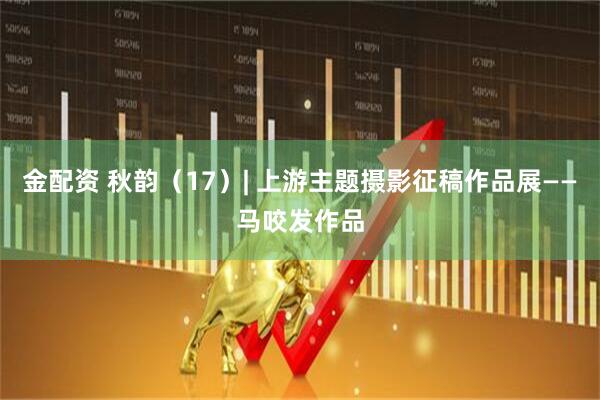 金配资 秋韵（17）| 上游主题摄影征稿作品展——马咬发作品
