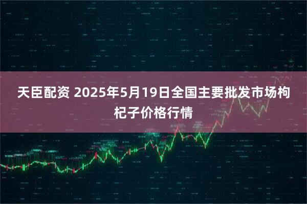 天臣配资 2025年5月19日全国主要批发市场枸杞子价格行情