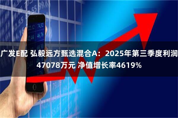广发E配 弘毅远方甄选混合A：2025年第三季度利润47078万元 净值增长率4619%
