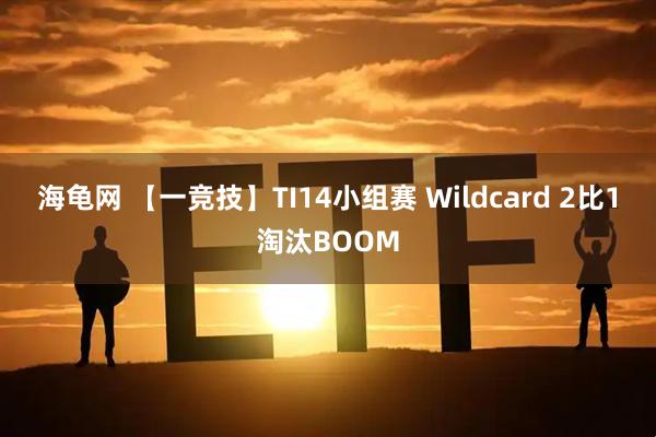 海龟网 【一竞技】TI14小组赛 Wildcard 2比1淘汰BOOM